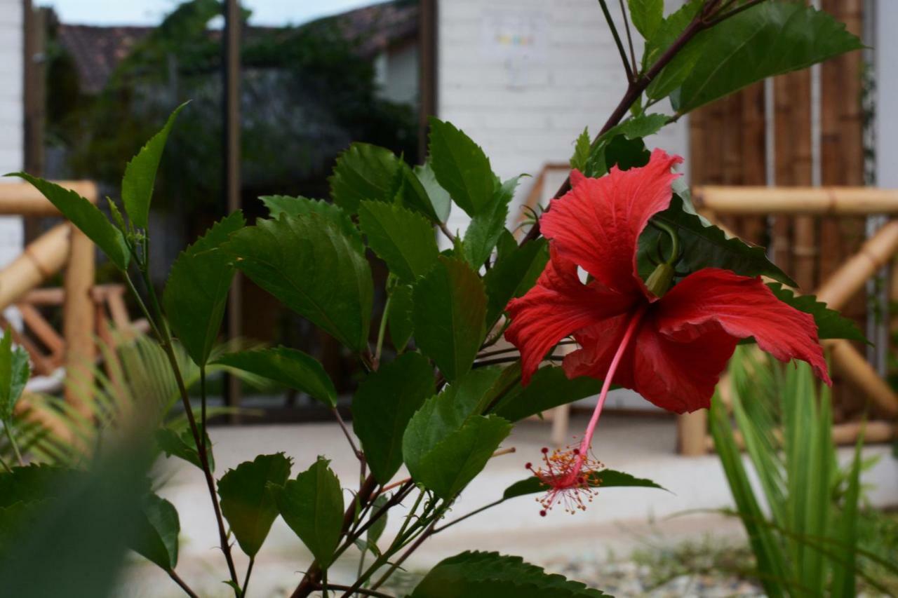 Casita Madame Hotel Puerto López Екстериор снимка